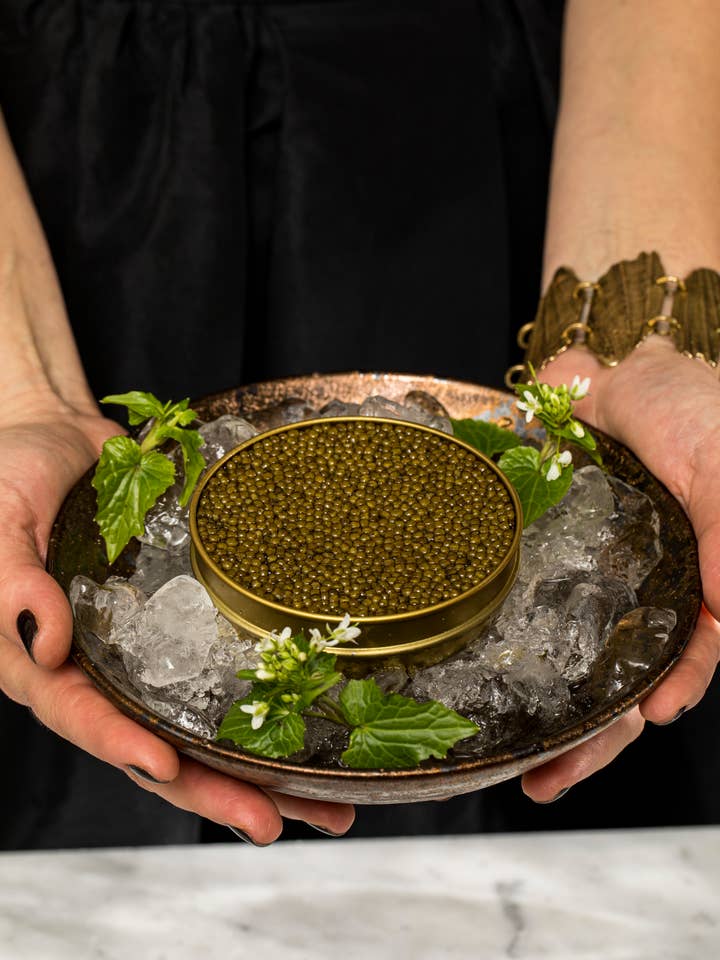 Antonius Kaviar: Ossetra 5 Sterne 500g für den Großhandel von Antonius Caviar