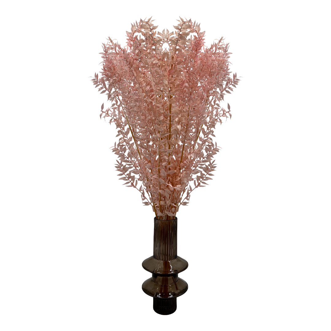 2626 Designs - Vendita all'ingrosso Piante artificiali - Ruscus conservato lungo 56-61 cm18