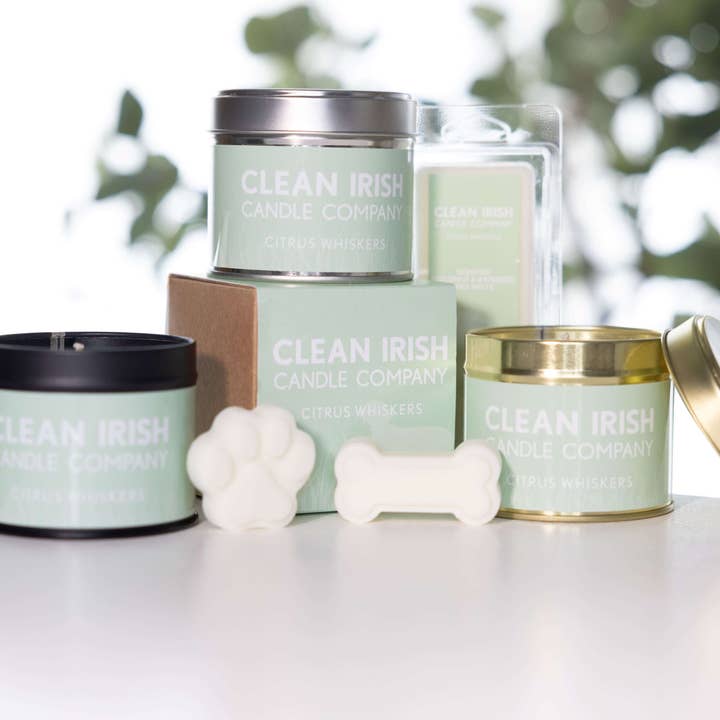 Vela de soja perfumada irlandesa no tóxica Citrus Whiskers para venta al por mayor de Clean Irish Candle Company