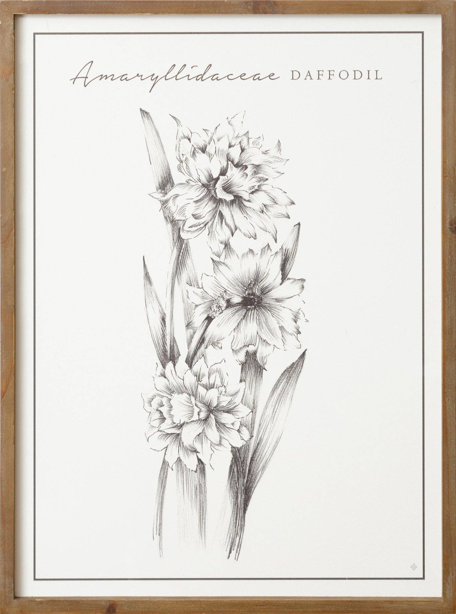 Audrey's Home & Gift – Großhandel Bilderwand-Set – Schilder - Assed Botanical Prints (Pk/04 Ast)1