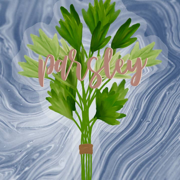 Kellio Studio - Venta al por mayor Pegatina - Pegatinas para plantas4