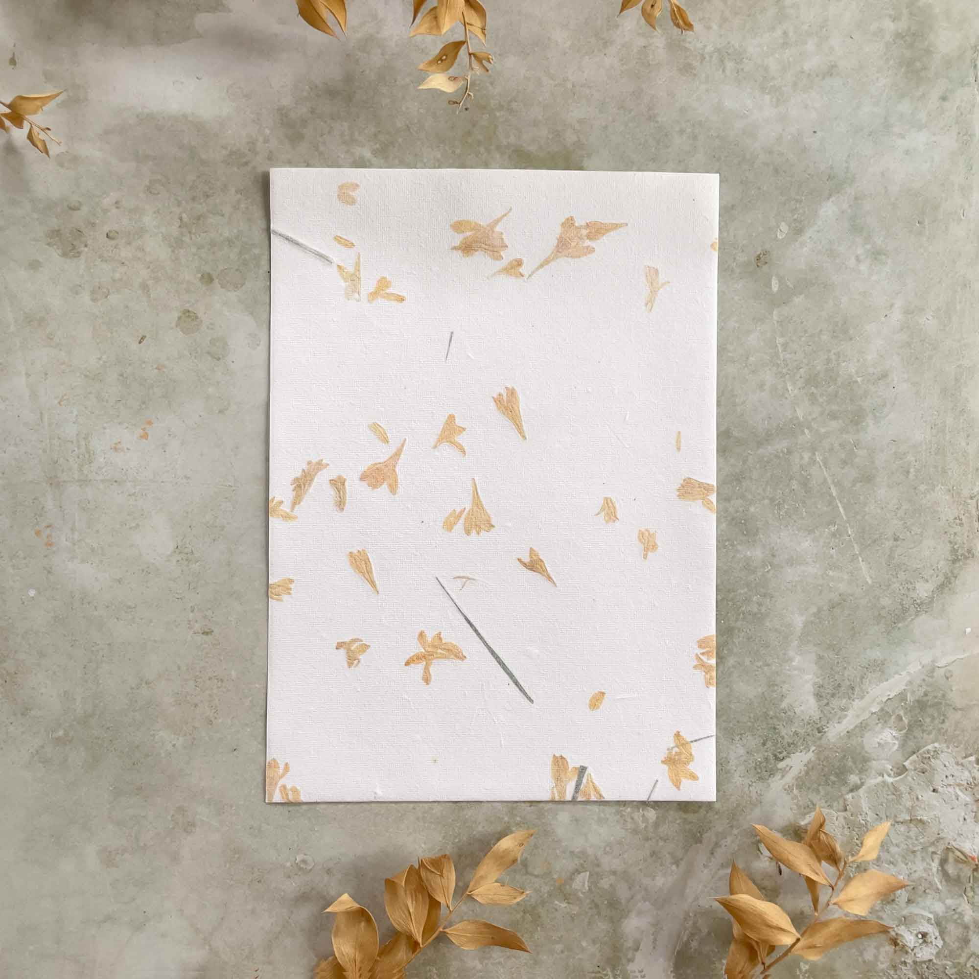 The Natural Paper Company – wholesale Stationery/notecard set – Gaillardia - Flower Handmade Paper and Envelopes | Recycled 9