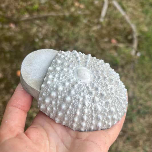 Backyard Stone Art - Wholesale Plant Pot - Sea Urchin Concrete Garden Pot Feet Planter Feet Risers1