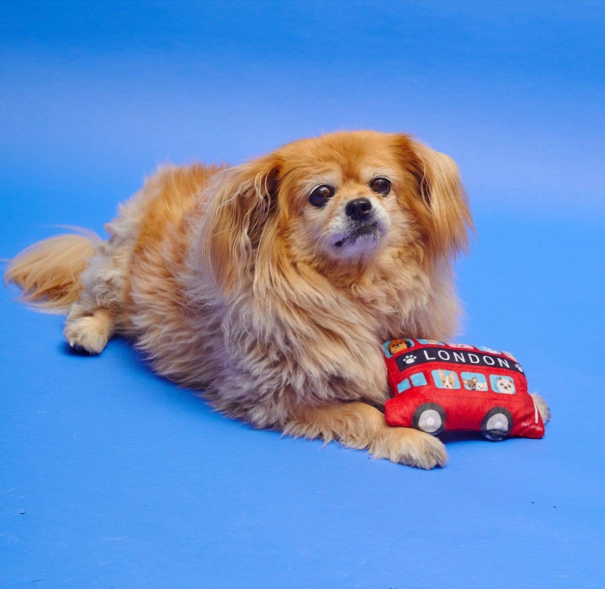 PetLondon – wholesale Pet plush toy – Dog – Mini London Bus Dog Toy6