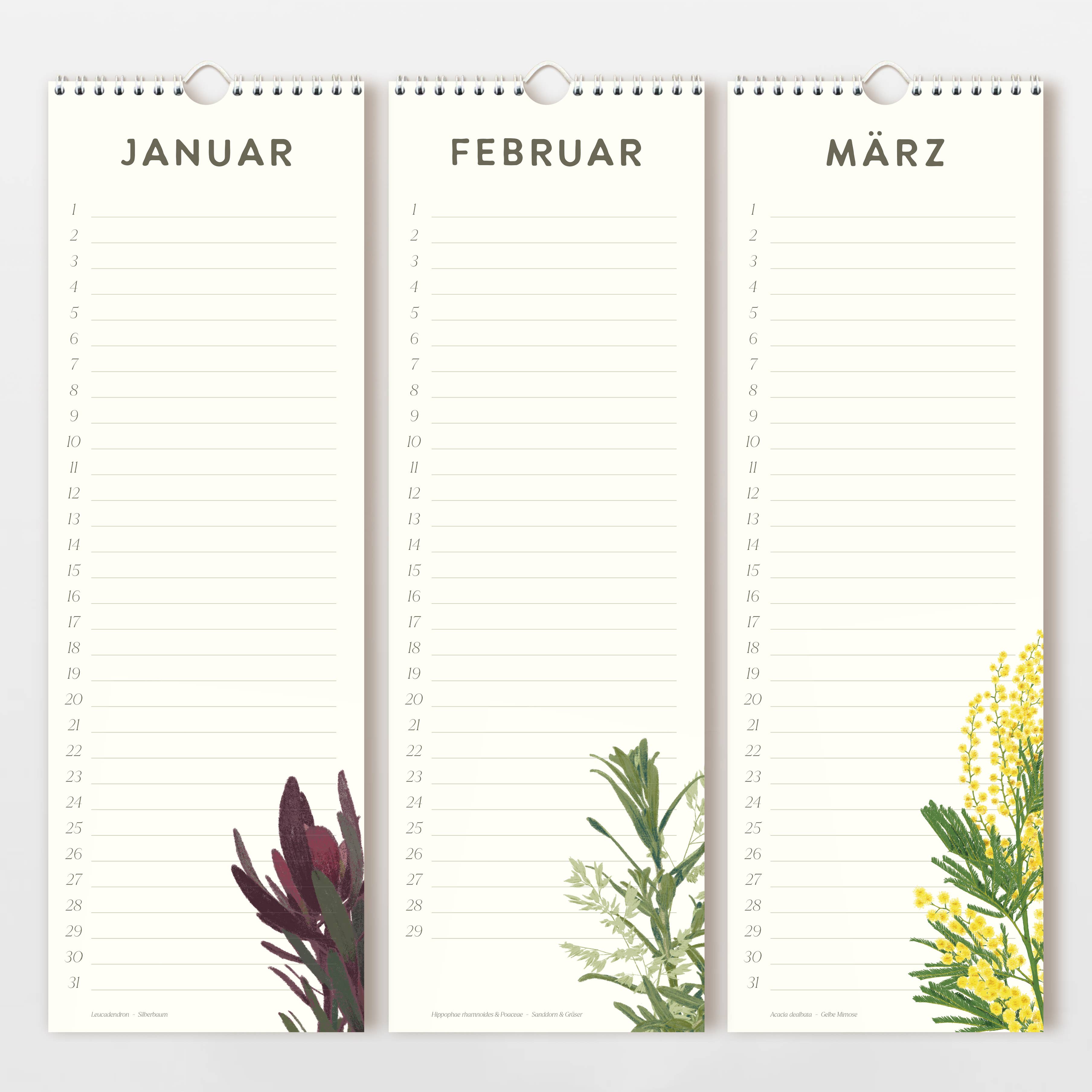 Wildblumen Atelier - Wholesale Calendar - Birthday calendar 15x44 cm hand-drawn flowers, FSC3