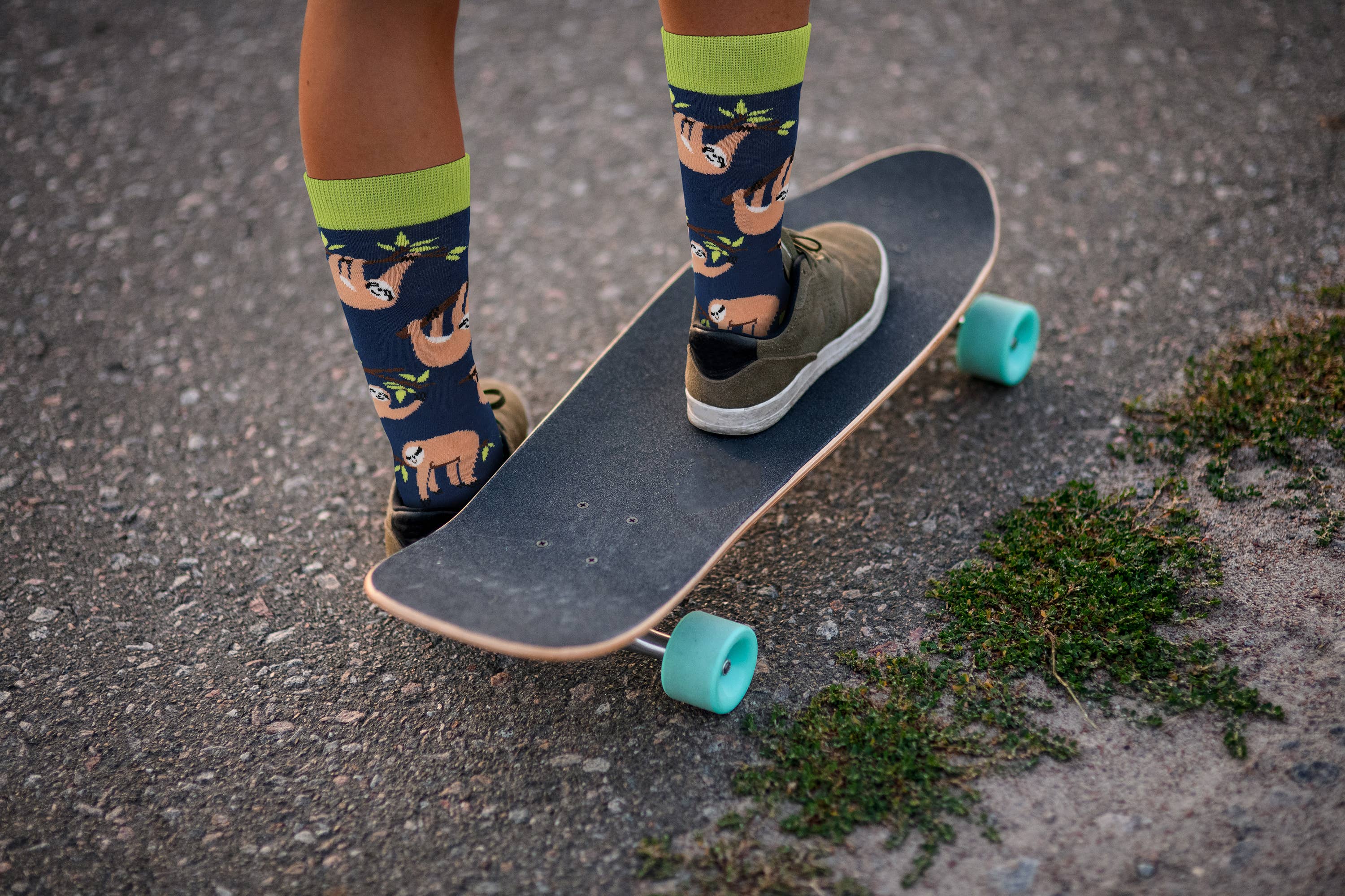 Real Sic - Venta al por mayor Calcetines - Unisex - Calcetines de animales: calcetines divertidos de algodón de zorro, koala, perezoso, canguro6