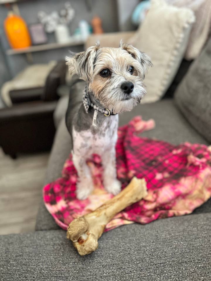 Slightly Distressed - Wholesale Button Down Shirt - Women's - Slightly Distressed Flannels 17