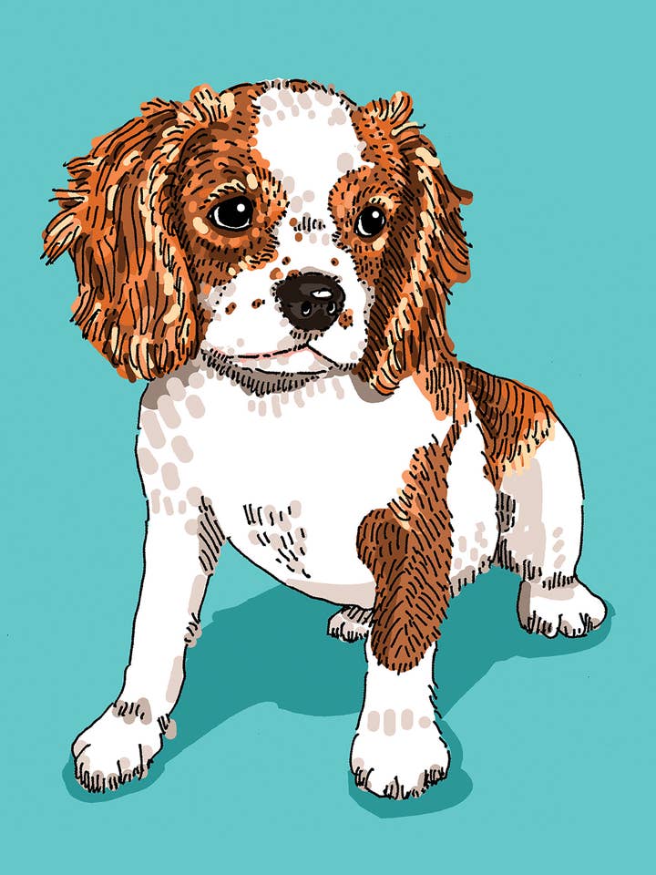 King Charles Puppy Birthday Card for wholesale by Alli Arnold