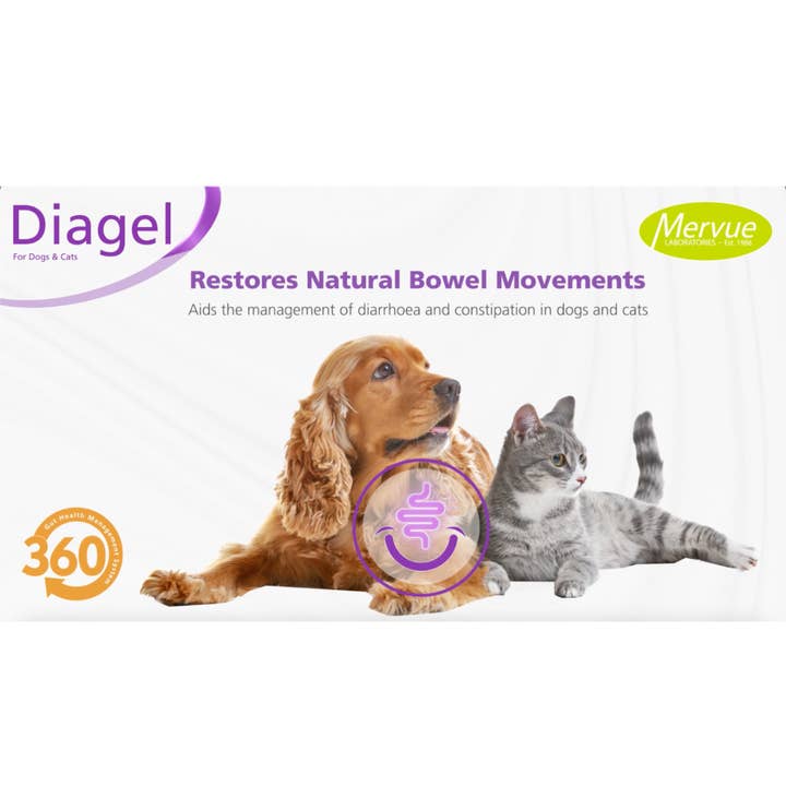 OurPetsLife - Wholesale Pet supplement – Dog - Diagel Digestive Support for Large Dogs2