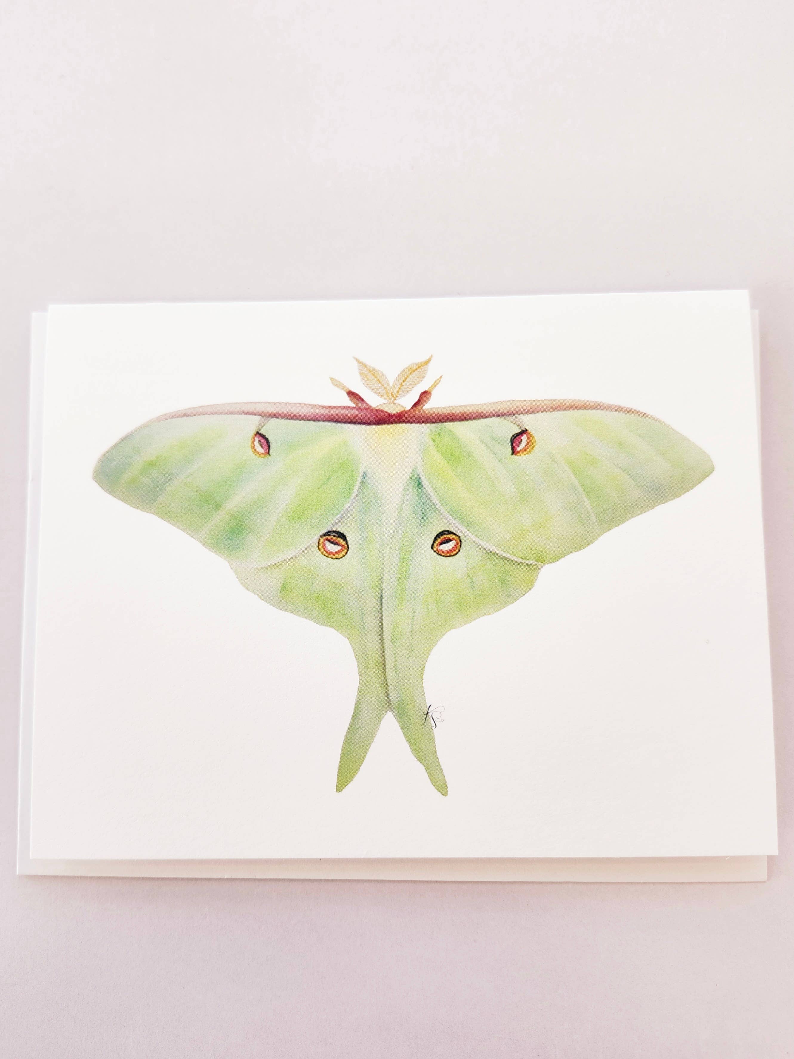 Redbriar Studio - Wholesale Stationery/Notecard Set - Notecards26