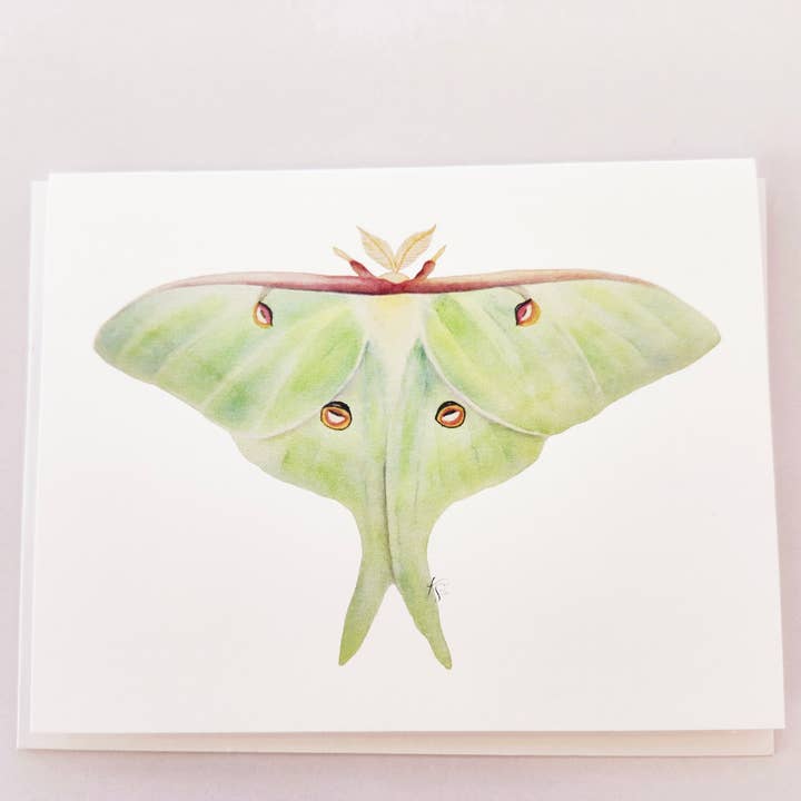 Redbriar Studio - Wholesale Stationery/Notecard Set - Notecards26