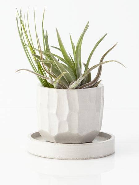 2,5" x 2,5" Waves Betontopf für den Großhandel von Casa Ilda