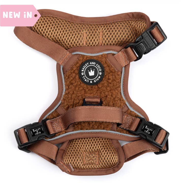 Bailey and Coco - Wholesale Pet Harness - Dog - Trail & Glow® Dog Harness - Teddy Bear