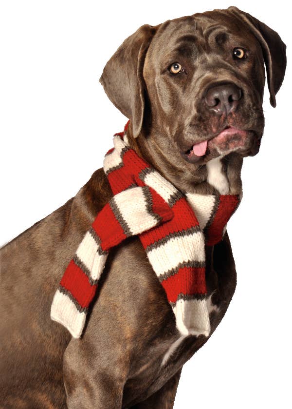 dog scarves wholesale