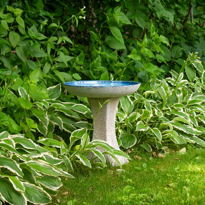 Sunnydaze Decor - Wholesale Bird Bath - Nantes Lava Finish Bird Bath - White Ceramic - 16" H