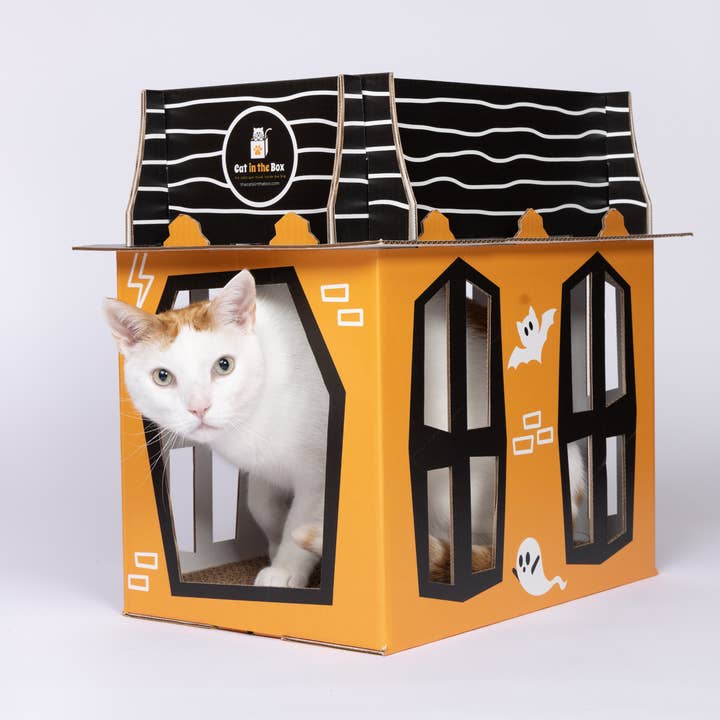 Cat in the Box LLC – wholesale Pet scratcher – Cat – Spooky Cat Haunted House - Cardboard Box Playhouse for Cats3