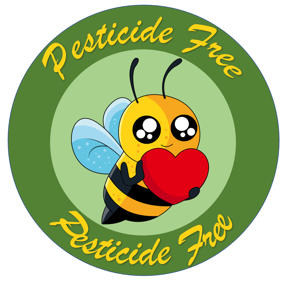 Biokikko Farmhouse - Wholesale Nuts - Selected carobs - I Cat. 2 Kg | Harvest 20251