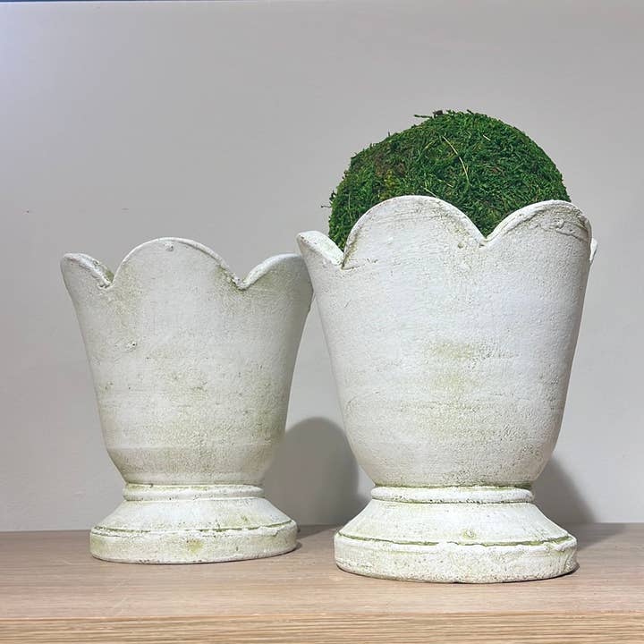 Botanical Collections - Wholesale Plant Pot - Surrey Cachepot #6 - Set of 21