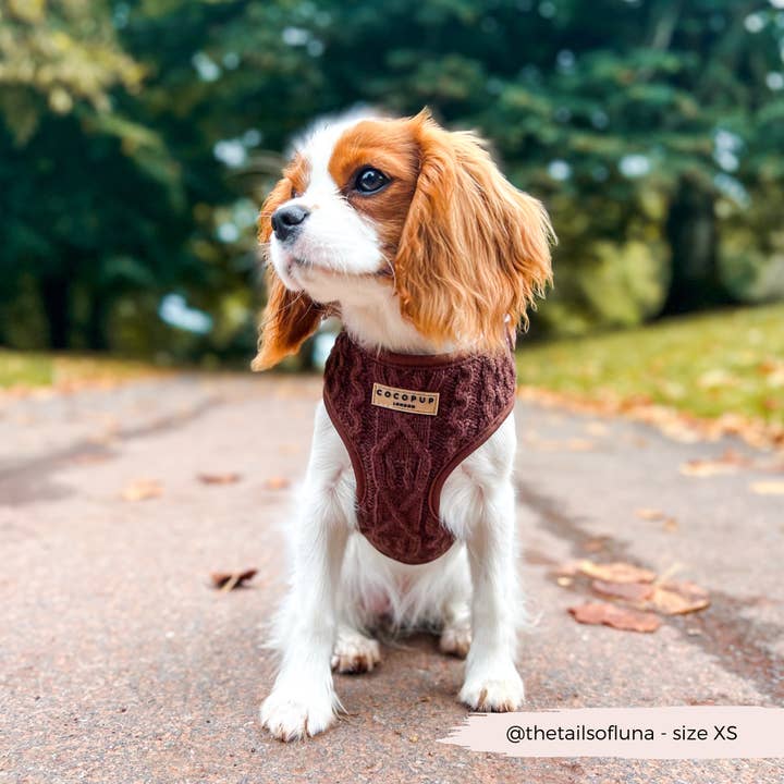 Cocopup London - Vente Harnais – chien - Harnais à col réglable en tricot torsadé couleur chocolat - Hot Coco11