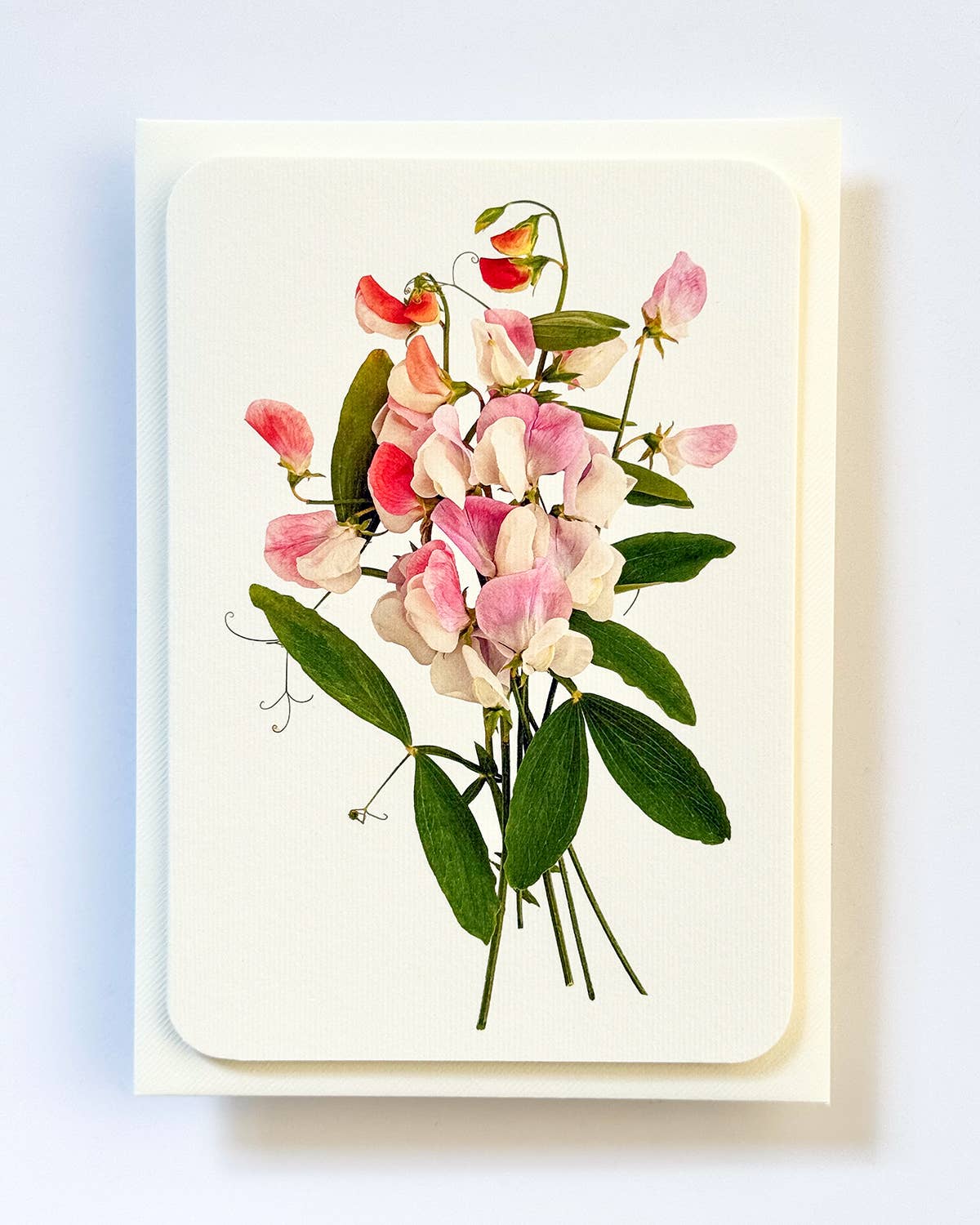 Canonbury Press - Wholesale Thank You Card - Pink Sweet Peas Greeting Card | Birthday Card | Luxury Cards2