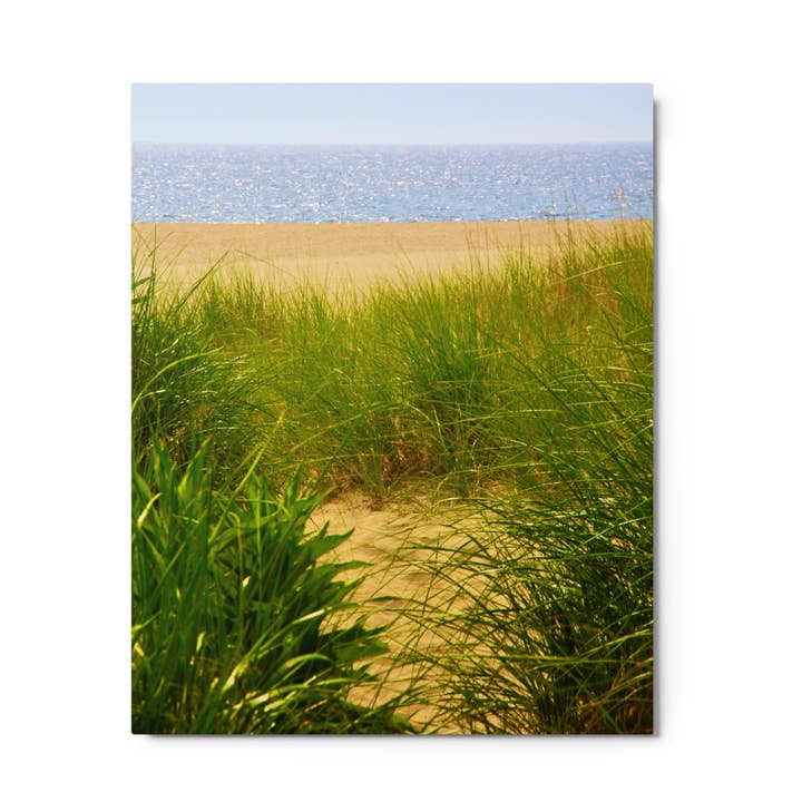 Sea Grass Metal Prints for wholesale by Monmouth Paragon