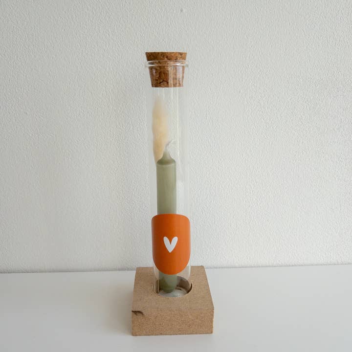 SEQ LIFESTYLE - Wholesale Party Favor - Gift Tubes Light