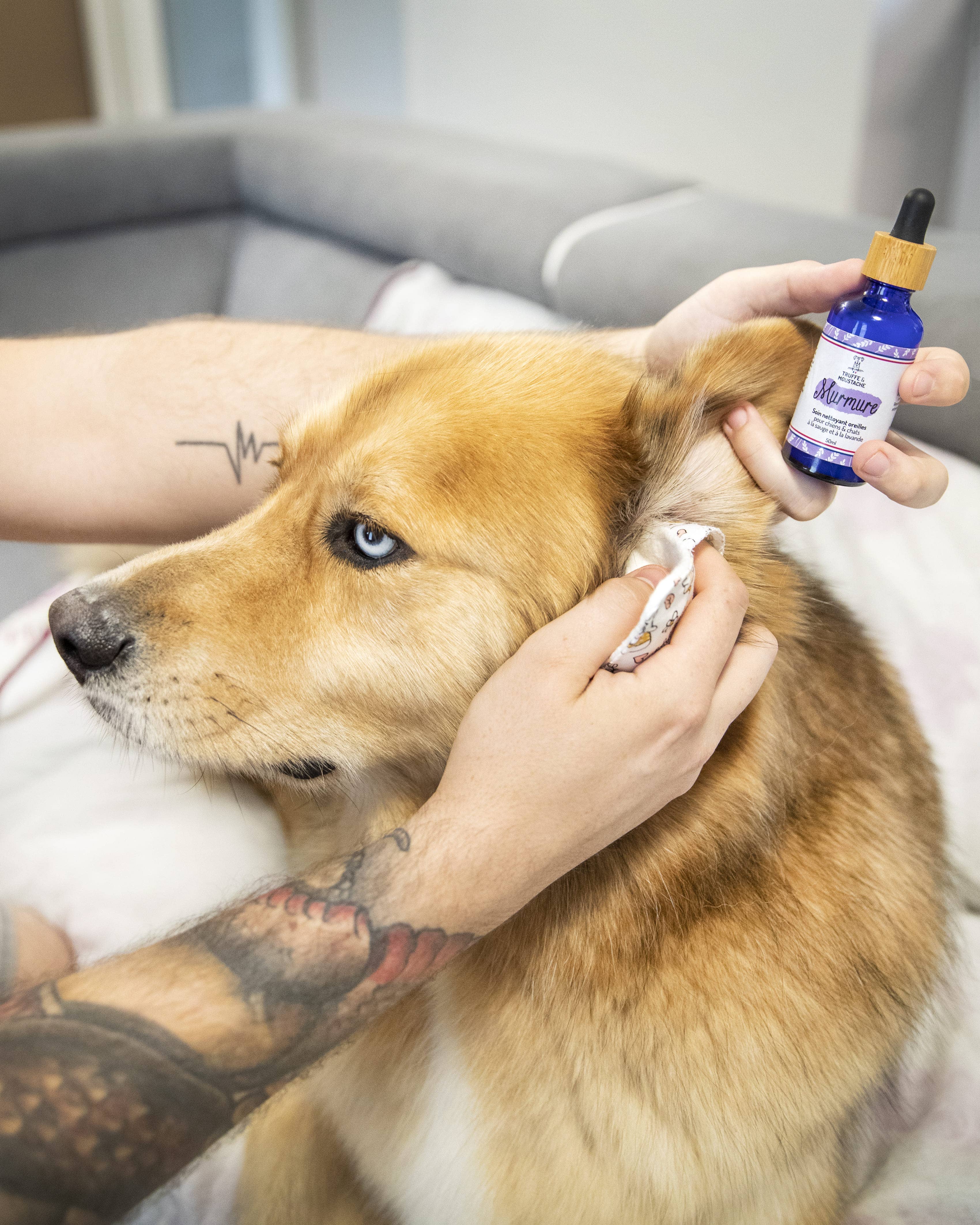 Truffe & Moustache - Vendita all'ingrosso Prodotti per la pulizia degli animali - Detergente auricolare naturale al 96% per cani e gatti, « Whisper »10