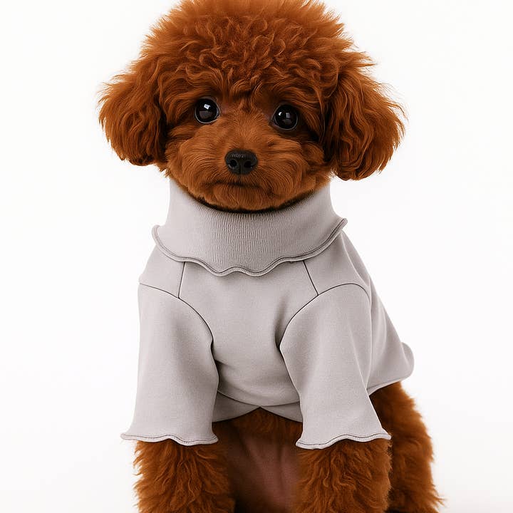 Colette et Gastón pet brand - Wholesale Pet Shirt - Dog - Camiseta de perro ondulado0