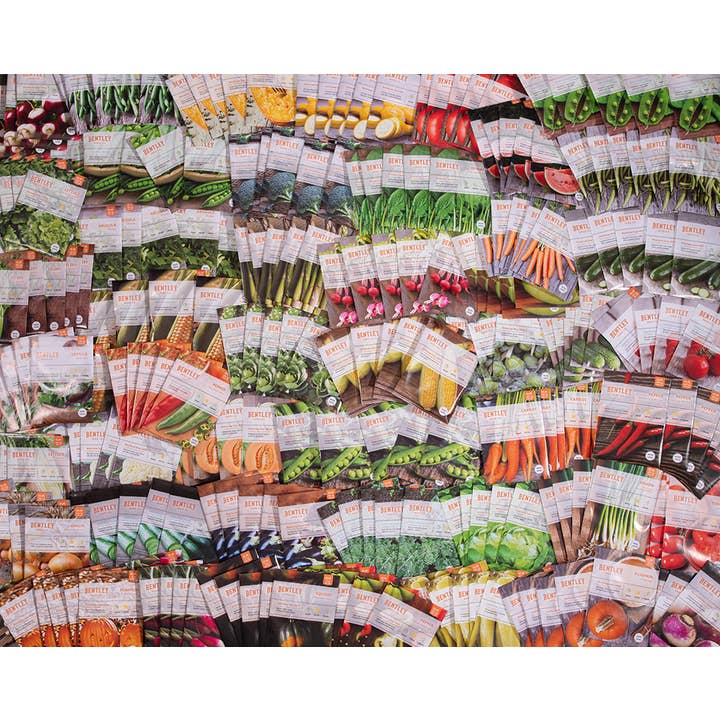 Bentley Seed Co. - Wholesale Plant Seeds - Bulk 500 Piece Vegetable Seed Packets