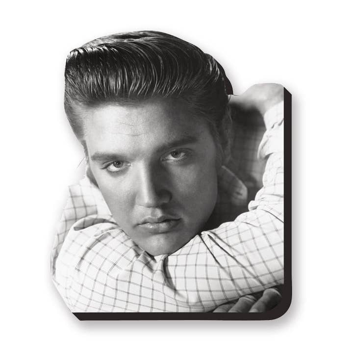AQUARIUS, GAMAGO, ICUP, & ROCK SAWS by NMR Brands - Wholesale Magnet - Elvis - Heart Throb Funky Chunky Magnet0