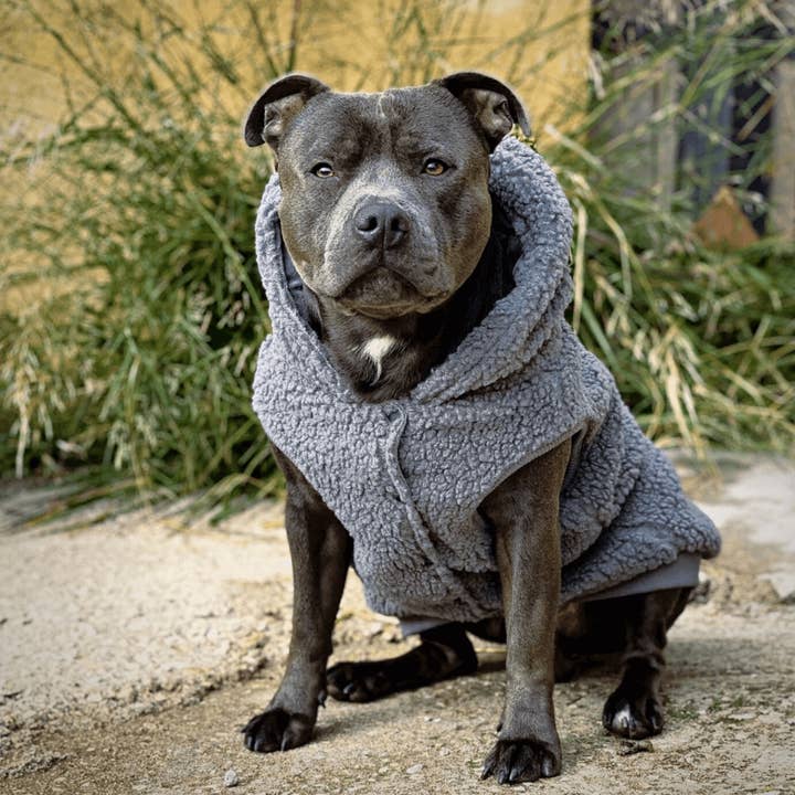 Spark Paws - Wholesale Pet Jacket - Dog - Teddy Sherpa Dog Jacket - Grey