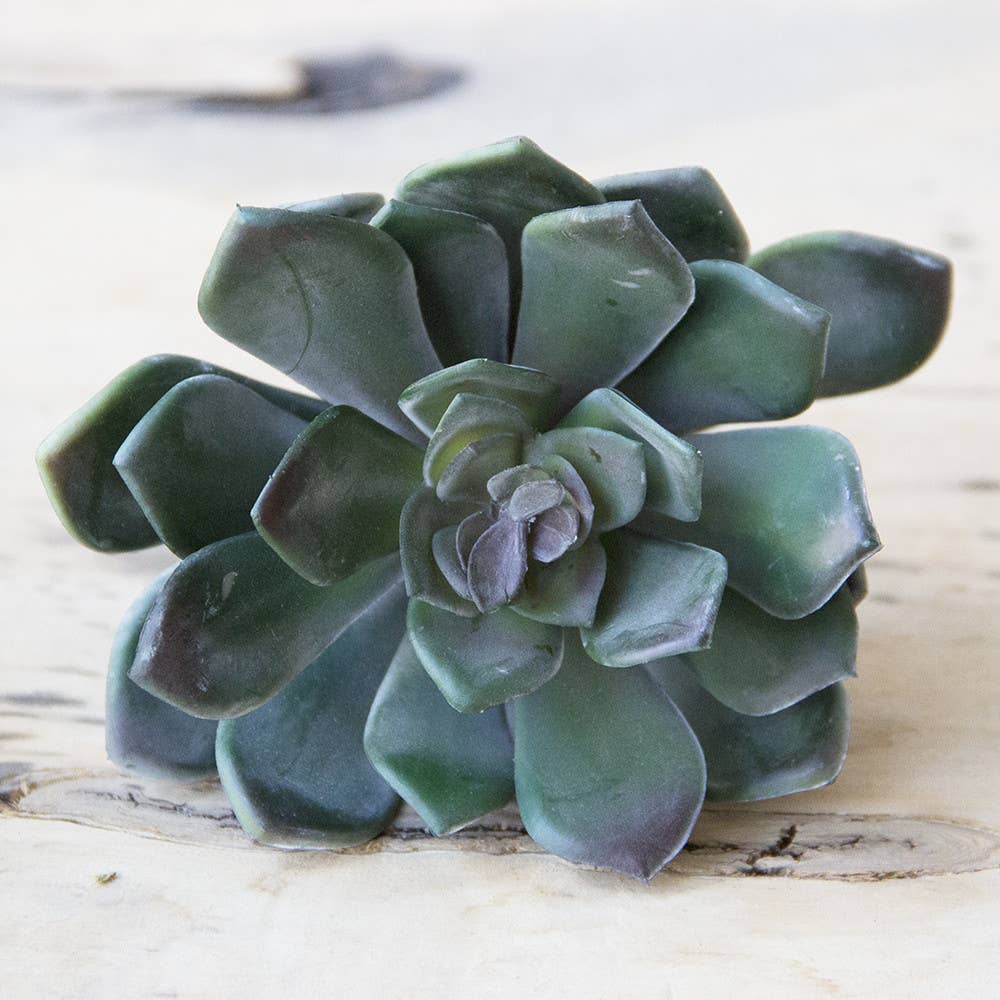 Chive UK - Wholesale Artificial Plant - Succulent Artificial Bulk Faux Succulents Kit SALE13