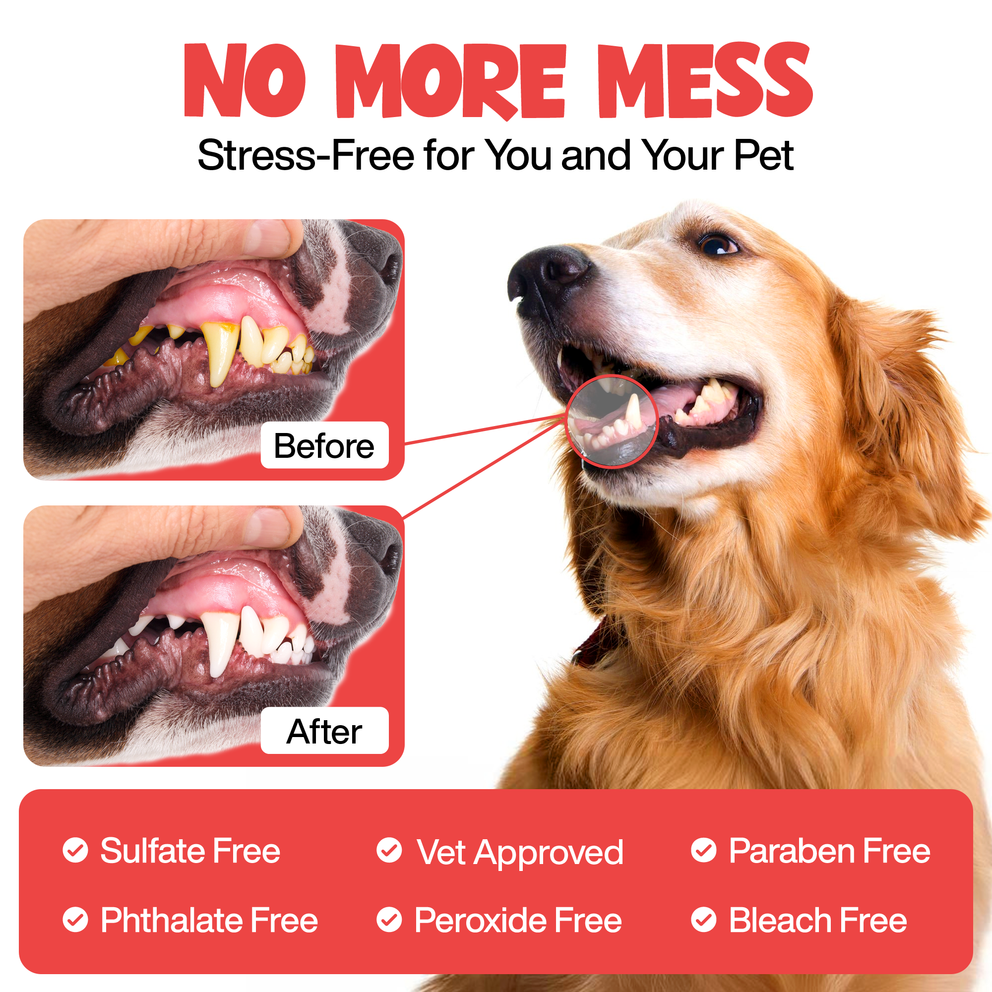 Roofus - Wholesale Pet Toothpaste - Dog - Roofus Dental Wipes | Fragrance Free | 60ct2