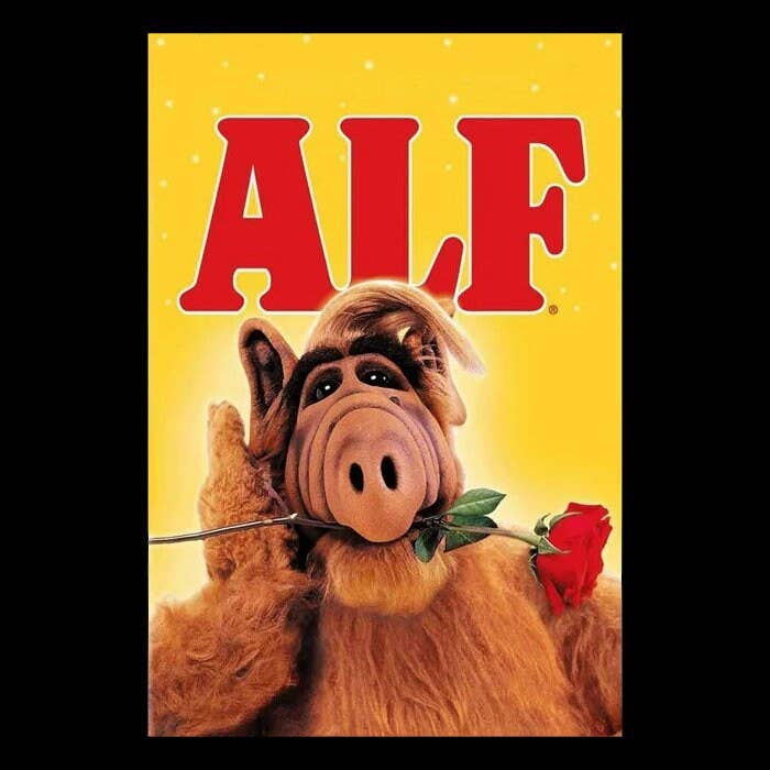 Autocollant « Regardez votre chat » - Rectangulaire pour la vente par Ozark Sticker Company