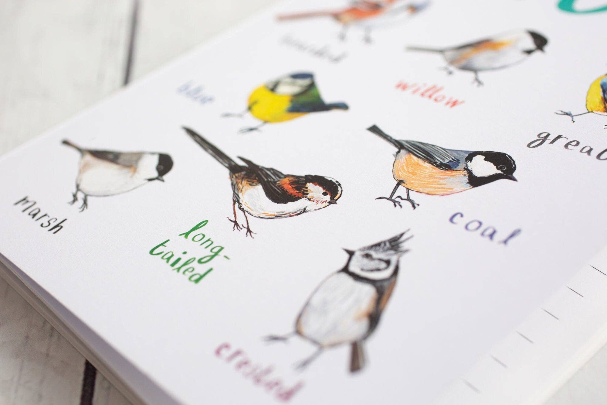 Sarah Edmonds Illustration – Caderno por atacado – Caderno de Pássaros Reciclado Titos A59