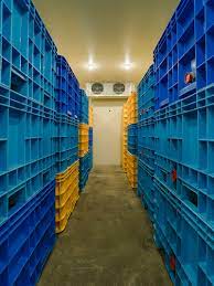 Japan Artisans - Wholesale Pickled Vegetables - Kinnokura-Smoked Radish 300g Smoky Vegan Iburigakko13