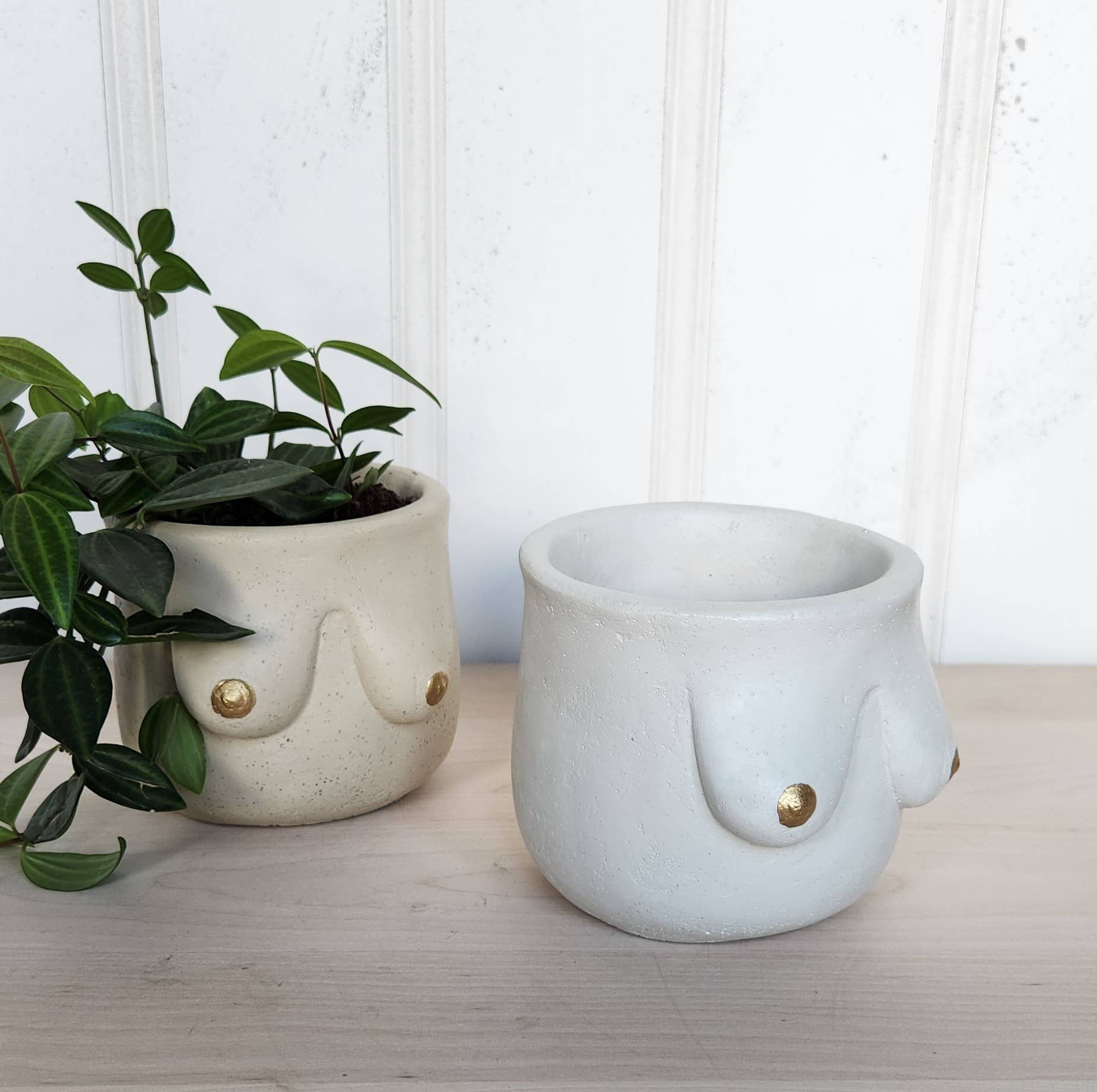 Plant 'er Here - Wholesale Plant Pot - Golden Boob Pot4