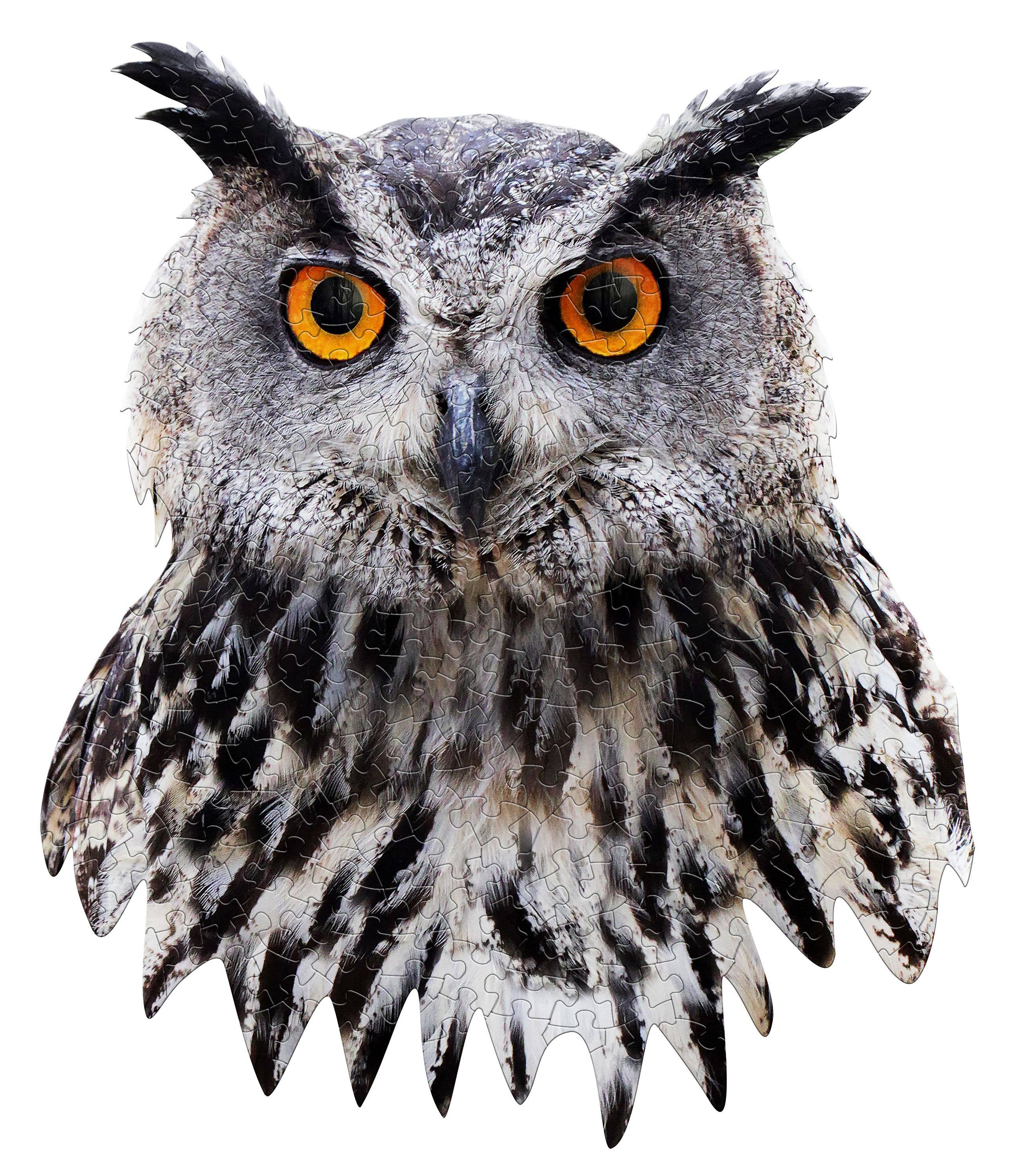 Madd Capp Games & Puzzles - Wholesale Puzzle - Adult - I AM Owl 300 piece jigsaw puzzle - gift5