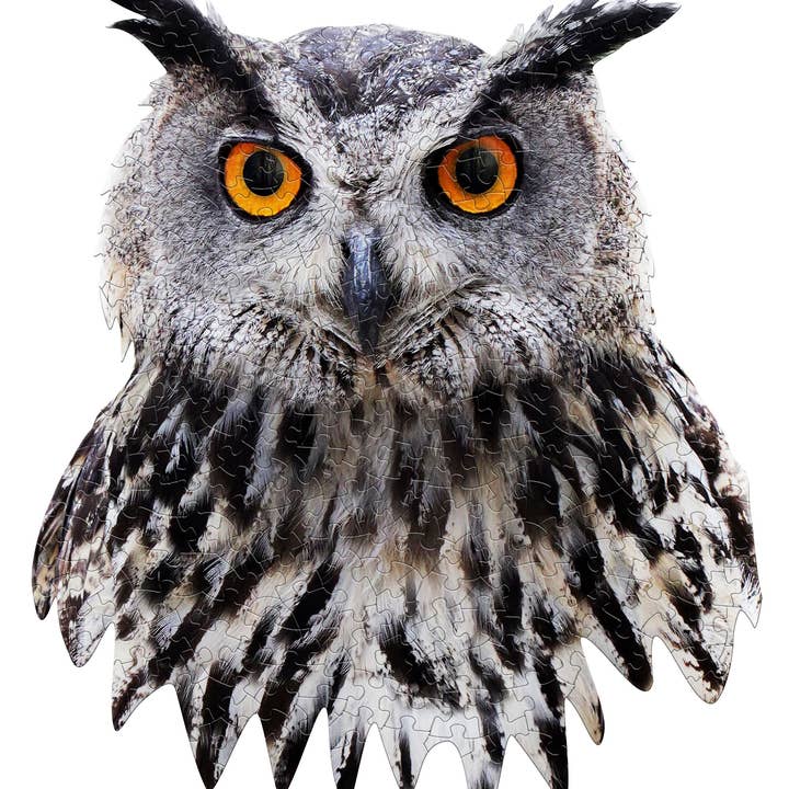 Madd Capp Games & Puzzles - Wholesale Puzzle - Adult - I AM Owl 300 piece jigsaw puzzle - gift5