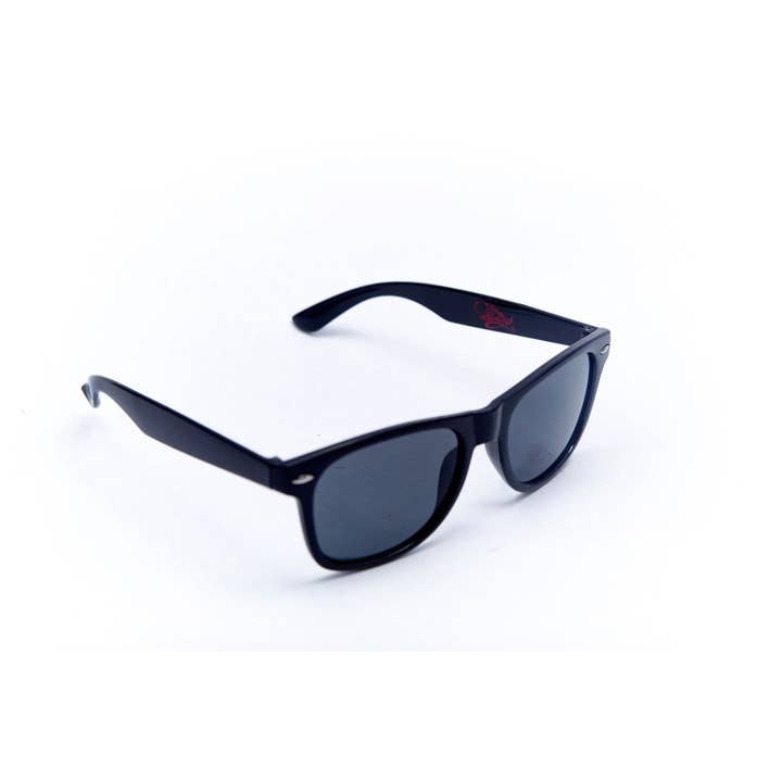 Classic Wayfarers With Chrome Post for wholesale by Wilderbeest LLC