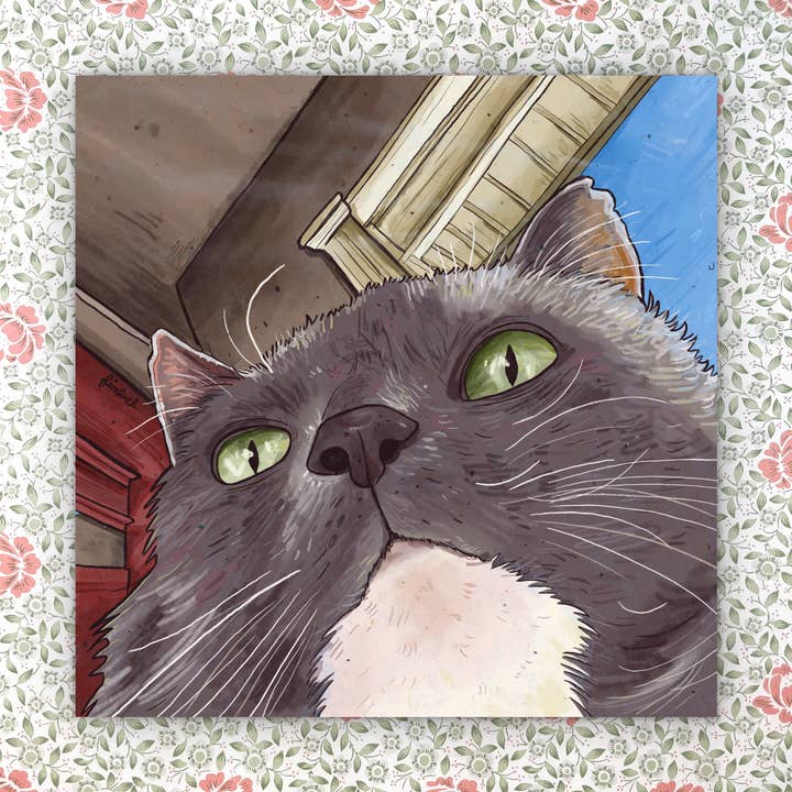 Silly Cat Face, Art Print, 8 x 8 inch, Signed & Numbered for wholesale by Art Fimbel