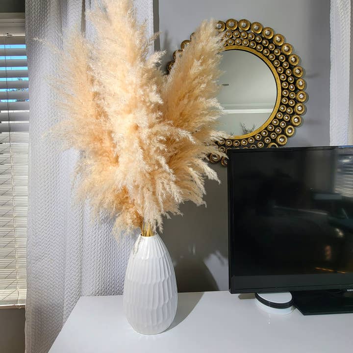 Pampas Design – wholesale Torkade/pressade blommor – Stort XL fluffigt pampasgräs 1 stam (3,5 fot till 4 fot lång)