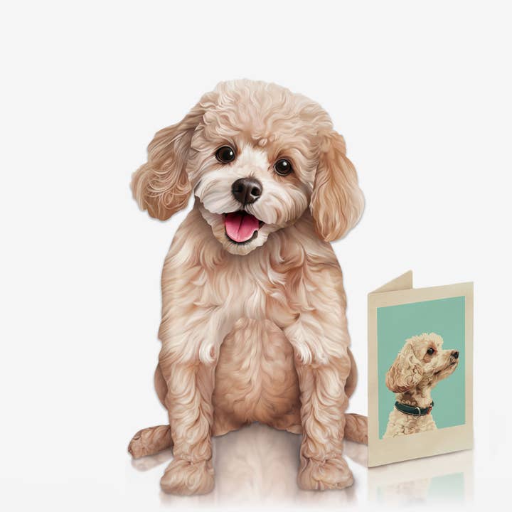 FreshCut Paper LLC - Wholesale Everyday Greeting Card - Poodle (6 Pop-up Greeting Cards)