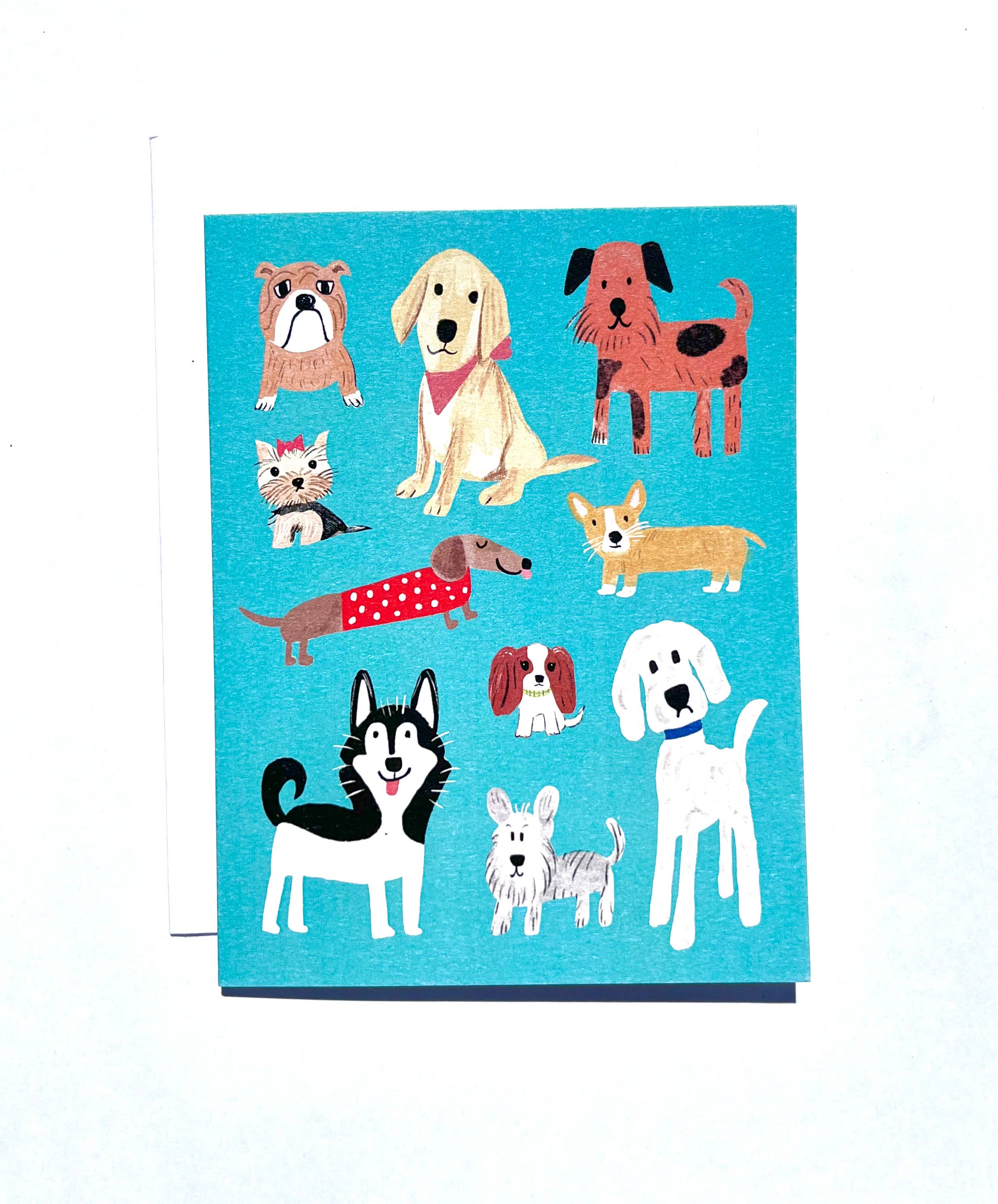 Little Desk Drawer - Wholesale Everyday Greeting Card - Dog Lovers Card1