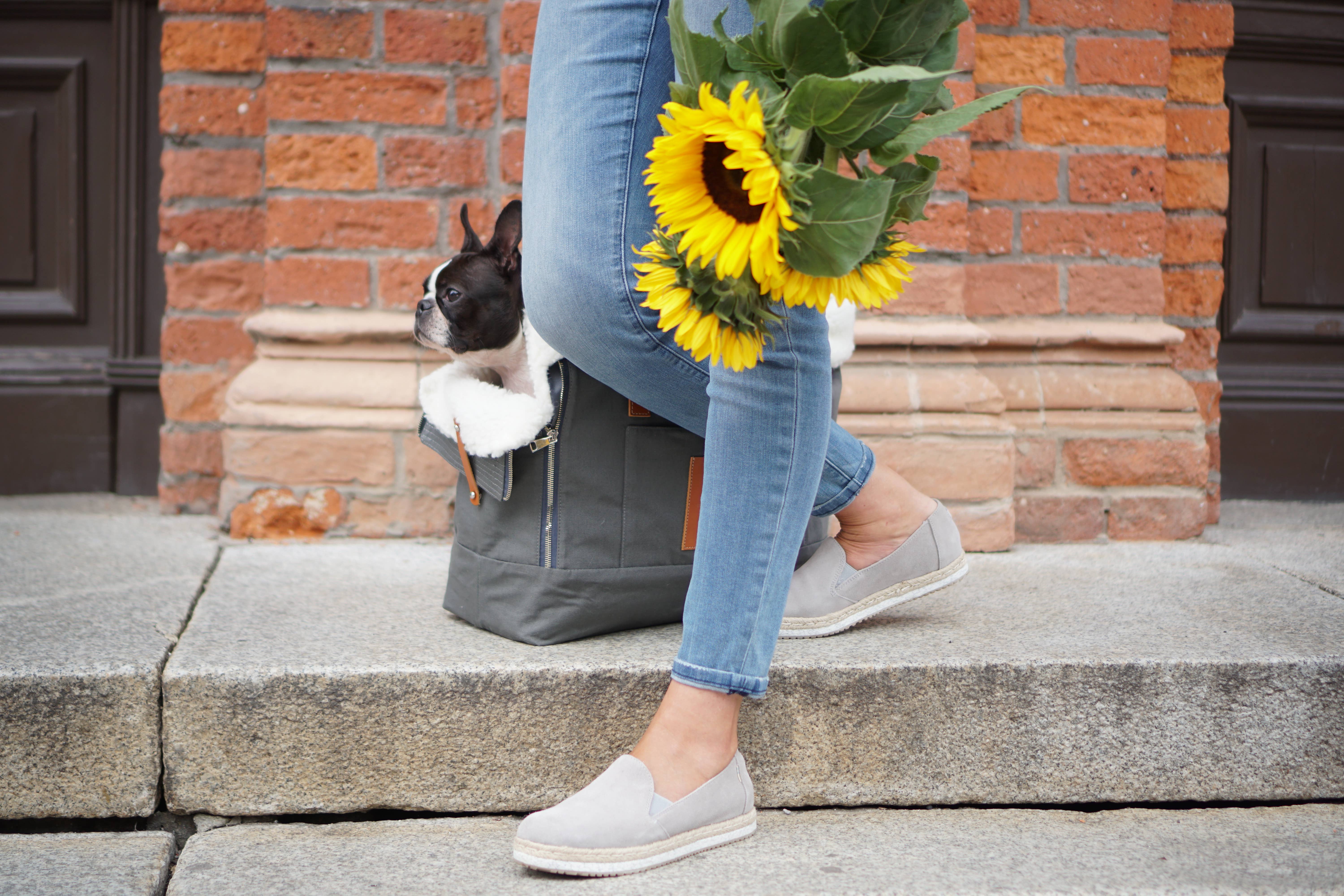 Labbvenn - Wholesale Pet Carrier - Cat/Dog - Liiva Dog Carrier8