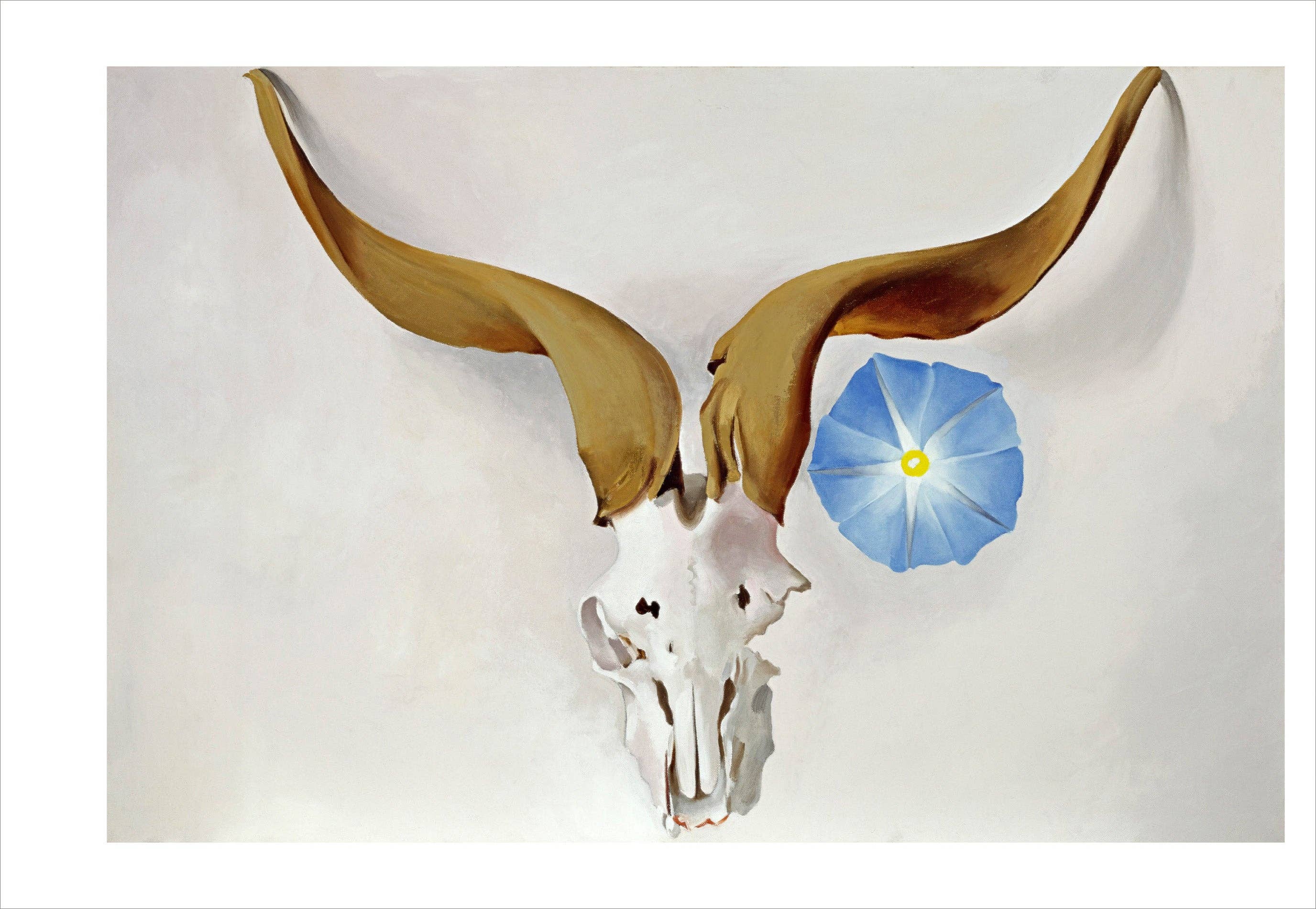 Pomegranate - Wholesale Postcard Set - Georgia O'Keeffe Book of Postcards3