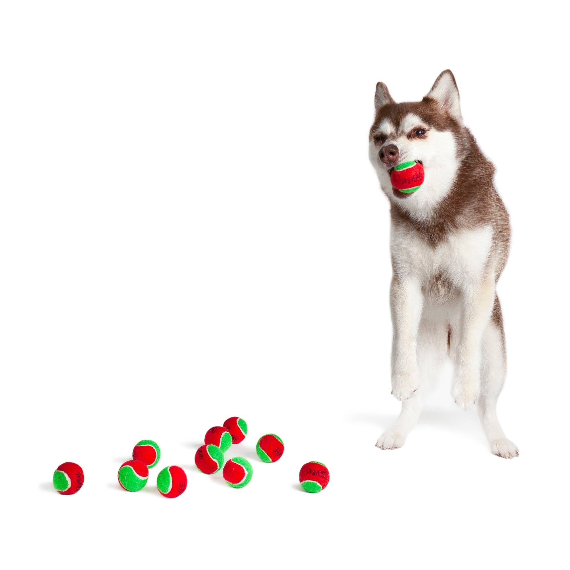 Midlee Designs - Wholesale Pet Fetch Ball - Dog - Midlee Merry Christmas Dog Tennis Balls9