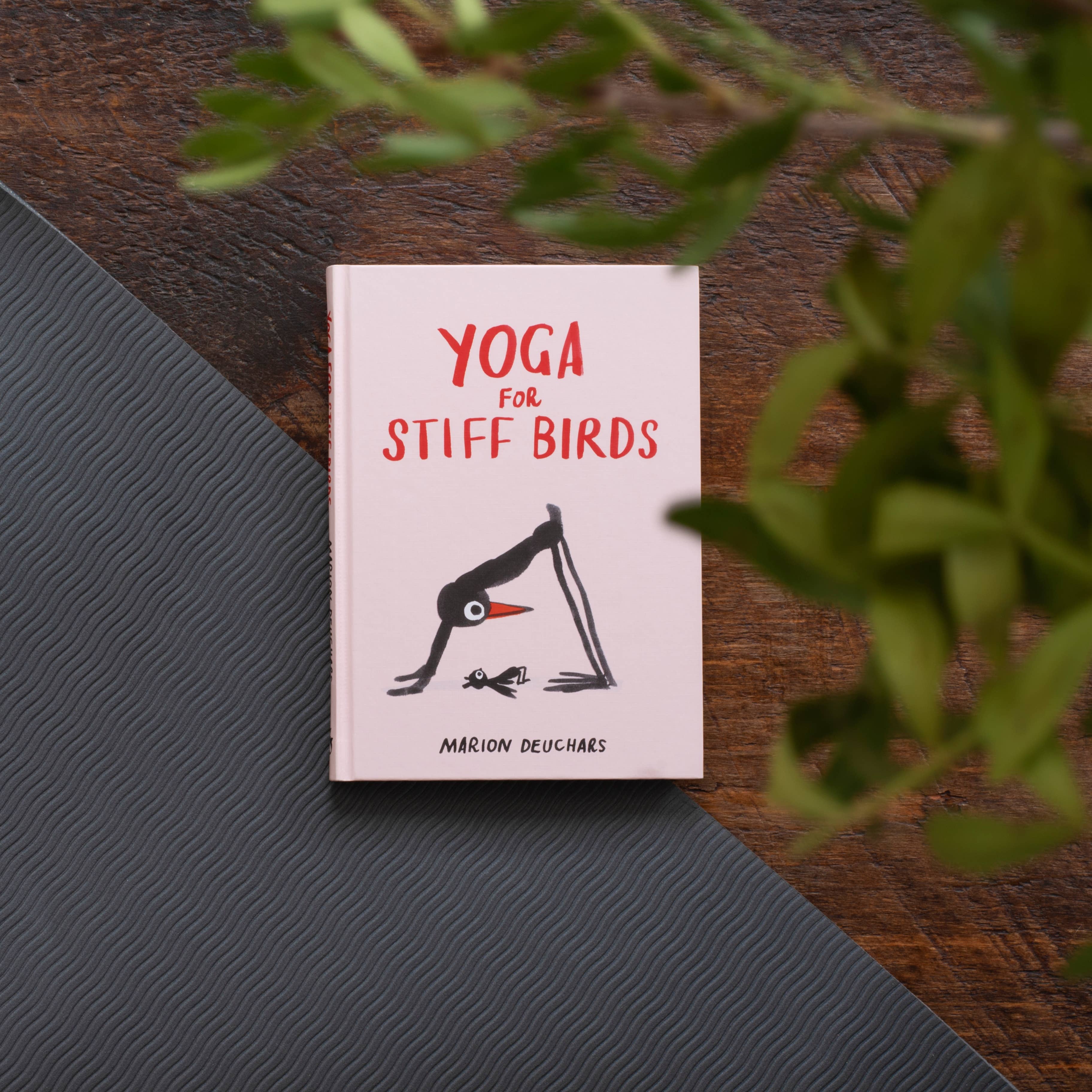 Abrams - Wholesale Fitness & Exercise - Yoga for Stiff Birds2