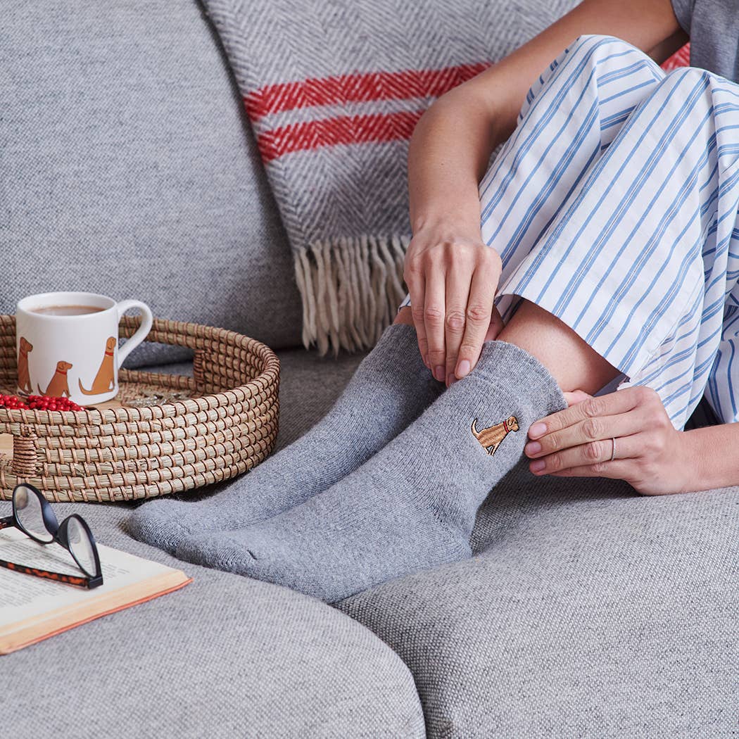 Sweet William Designs – wholesale Socks – Unisex – Dog Walking Socks - Fox Red Labrador4