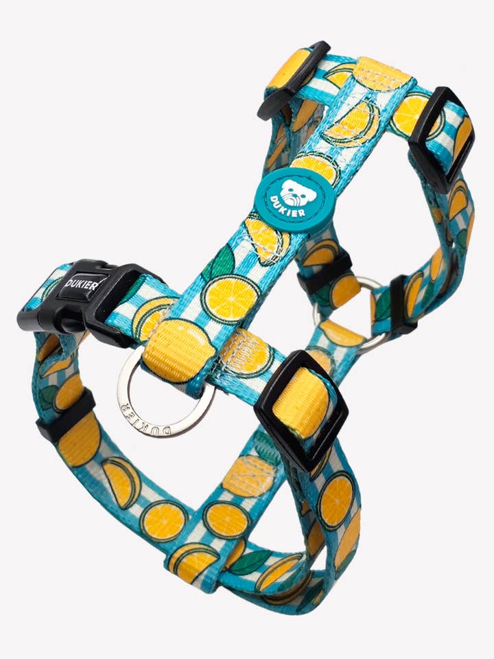 ARNÉS CLÁSICO PARA PERRO LEMONS para venta al por mayor de Dukier